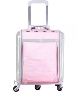 【YSS】愛麗斯城堡果凍背包(蜜粉)